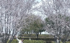 日产一线二线三线哺乳